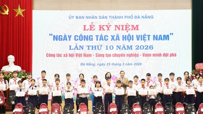 ទីក្រុងដាណាំងកំពុងជំរុញការអភិវឌ្ឍបណ្តាញសេវាការងារសង្គមរបស់ខ្លួននៅក្នុងតំបន់សំខាន់ៗ។