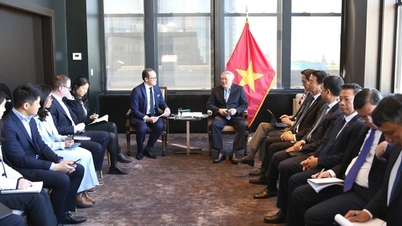 Vietnam strävar efter att skapa en stabil, transparent och gynnsam investeringsmiljö för investerare.