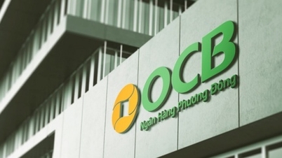 OCB își propune o creștere a profitului cu aproape 40% și o majorare a capitalului social la 30.625 miliarde VND.