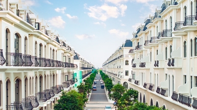 Vincom Collection: A new "catalyst" to boost real estate values ​​in Vinhomes mega-cities.