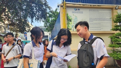 Official enrollment plan for 10th grade in Ho Chi Minh City in 2026.