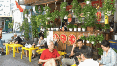 VIDEO: Ce face ca cafenelele de pe trotuar din orașul Ho Chi Minh să fie atât de populare?