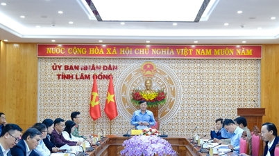 La province de Lam Dong lève les obstacles et favorise la mise en œuvre des projets clés du groupe TH.
