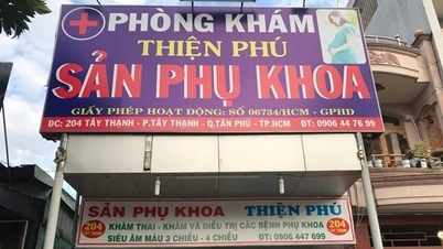 ក្រុមហ៊ុន Empire Global Investments Joint Stock Company ត្រូវបានពិន័យជាប្រាក់ និងត្រូវបានដកហូតអាជ្ញាប័ណ្ណប្រតិបត្តិការរបស់ខ្លួន។