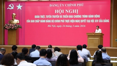 Triển khai chương trình hành động của Đảng bộ Chính phủ thực hiện Nghị quyết Đại hội XIV