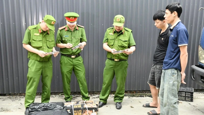 Tuyen Quang: Myndigheterna beslagtar över 5 ton korvar av okänt ursprung.