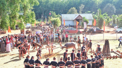 31 मार्च को बेक गांव में जराई लोगों के "विजय उत्सव" का पुनर्मंचन किया गया।