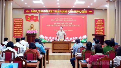 ប្រធាននាយកដ្ឋានឃោសនាការ និងចលនាមហាជន នៃគណៈកម្មាធិការបក្សខេត្ត ត្រួតពិនិត្យសកម្មភាពនៅក្នុងឃុំប៉ាវ៉ាយសូវ។