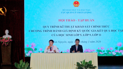 Đánh giá diện rộng theo quy trình, công cụ tiếp cận thông lệ quốc tế