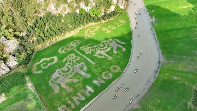 Pictura „Doi cai aducând omagiu împăratului” este dezvăluită într-un câmp de orez din Ninh Binh.