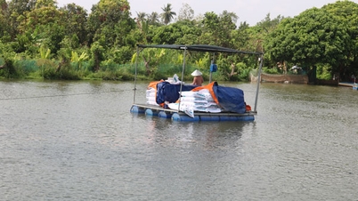 Plus de 47 000 hectares consacrés à l'aquaculture.