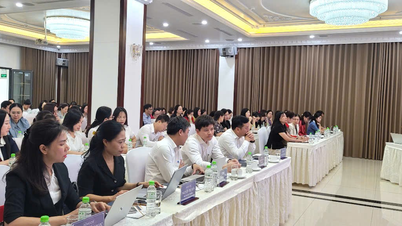 Giới thiệu công cụ 5S và ISO 21001 - Hệ thống quản lý tổ chức giáo dục trên địa bàn thành phố Hải Phòng năm 2026