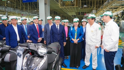 Ninh Binh - جاپانی سرمایہ کاروں کے لیے ایک اسٹریٹجک منزل۔