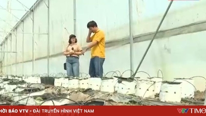 積極的にコストを削減し、生産を維持する。