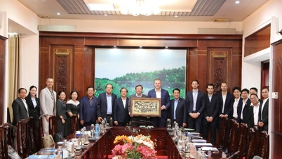 Egy több mint 13 000 milliárd VND értékű projektsorozat célja, hogy Tay Ninh-et high-tech állattenyésztési központtá alakítsa.