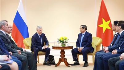 The Prime Minister received representatives of the Russia-Vietnam Friendship Association and the Russian Veterans Association.