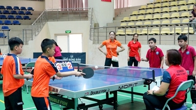 Meer dan 400 atleten namen deel aan het sporttoernooi van de Hoai Duc Commune High School.