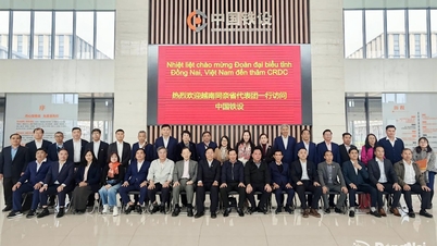 Dong Nai aprende de la experiencia de China en el desarrollo de ferrocarriles urbanos y modelos de desarrollo urbano.