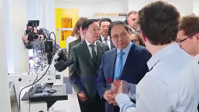 首相は、MISIS大学がベトナムのために質の高い人材育成を強化することを期待している。