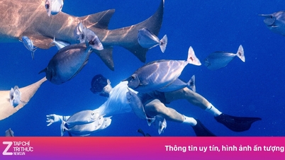 Kann ich tauchen gehen, wenn ich nicht schwimmen kann?