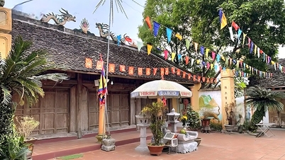 “Hồi sinh” đền Tam Tổng bên Thành nhà Hồ