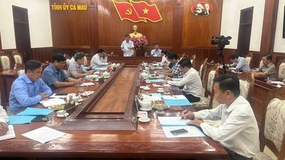 Komite Tetap Komite Partai Provinsi mengadakan sesi kerja dengan Departemen Propaganda dan Mobilisasi Massa Komite Partai Provinsi untuk meninjau hasil kerja propaganda dan mobilisasi massa pada kuartal pertama dan membahas tugas-tugas utama untuk periode mendatang.