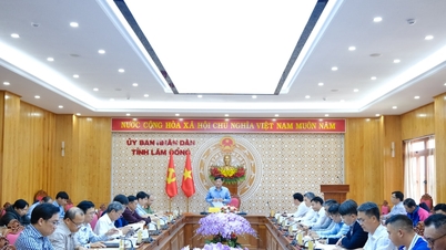 Provincia Lam Dong accelerează progresul lanțului de proiecte al centralei electrice LNG Son My.