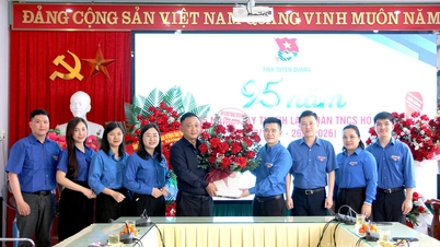 Les journaux, la radio et la télévision de Tuyen Quang félicitent l'Union provinciale de la jeunesse à l'occasion du 95e anniversaire de la fondation de l'Union de la jeunesse communiste Ho Chi Minh.