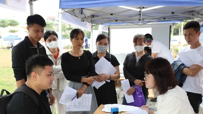 Thai Nguyen: Van Xuan Mahallesi'nde düzenlenen İş Fuarı ve Kariyer Yönlendirme Günü'ne yaklaşık 1.500 kişi katıldı.