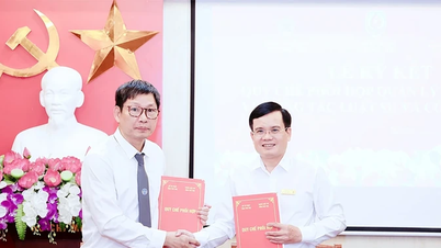 Signing of regulations on coordinating state management of lawyer and notary services.