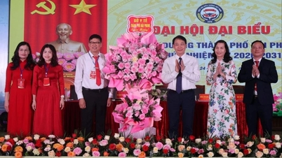Hai Phong bys sykepleierforening holdt sin første generalforsamling for delegater.