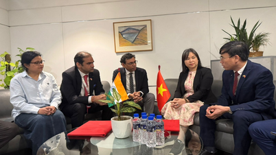 Az informatikai szolgáltatások terén az együttműködés körének bővítése Vietnam és India között.