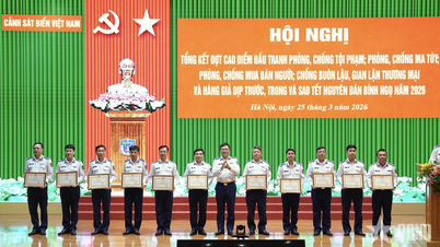 The Vietnam Coast Guard has deployed hundreds of reconnaissance officers to closely monitor key areas, routes, and sectors.