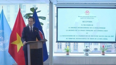 Vietnam aktívan hozzájárul a frankofón közösségen belüli együttműködés és szolidaritás erősítéséhez.