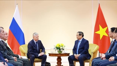 Прем'єр-міністр Фам Мінь Чінь приймає представників Асоціації російсько-в'єтнамської дружби та Асоціації ветеранів Росії.