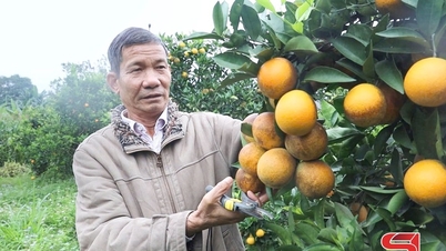 Kwaliteit en veiligheid – de kern van de agrarische productie.