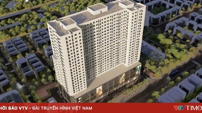 年収が5000万ベトナムドン未満の世帯は、公営住宅を購入できる。
