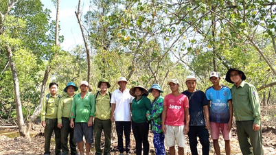 Survei hutan lindung pesisir