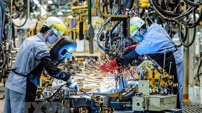 Het uitbreiden van de samenwerking op het gebied van personeelsbeleid tussen Duitse bedrijven en de Vietnamese arbeidsmarkt.