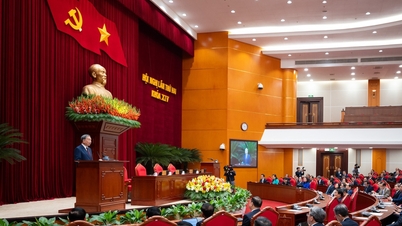 Het Centraal Comité van de Partij stemde in principe in met de oprichting van de stad Dong Nai als een centraal bestuurde stad.