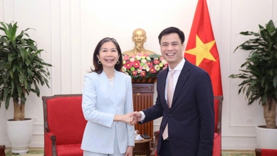 Dang Hoang Giang miniszterhelyettes munkamegbeszélést tartott Pauline Tamesisszel, az ENSZ vietnami rezidens koordinátorával.