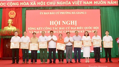 សង្កាត់ហាយ៉ាង ២ សង្ខេបការងារបោះឆ្នោត។