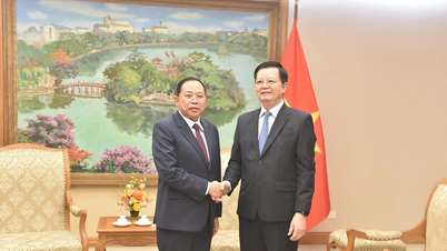 Vietnam está dispuesto a intercambiar experiencias en gestión religiosa con Camboya.