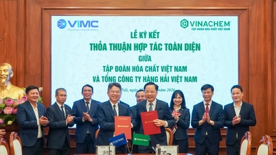 Vinachem – VIMC Kooperation: Stärkung der industriellen und logistischen Verbindungen, Ausbau der Lieferkette.