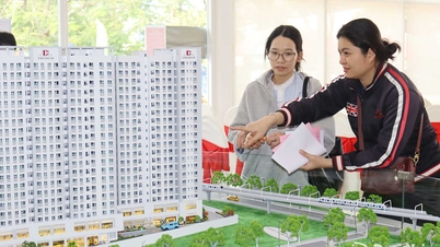 Đồng Nai điều chỉnh mục tiêu phát triển hơn 67 ngàn căn nhà ở xã hội