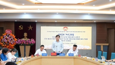 Cluster No. 5 signs emulation agreement for 2026