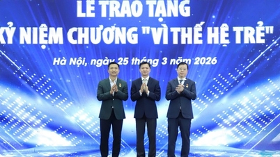 កិច្ចសន្ទនាស្តីពីតួនាទីរបស់យុវជនក្នុងការអភិវឌ្ឍទូរទស្សន៍សម័យទំនើប។