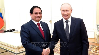Presidente Vladimir Putin: Rusia está dispuesta a promover con firmeza la cooperación con Vietnam en todos los ámbitos.