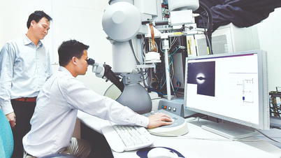 Expanding opportunities for young scientists.