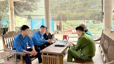 Dorongan transformasi digital